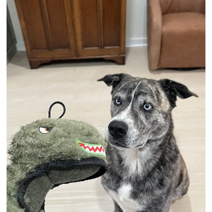 Steel Dog Ruffian T-Rex plush toy close-up lifestyle