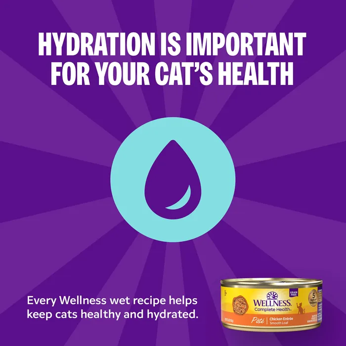 Wellness Complete Health Turkey Dinner Pâté hydration graphic