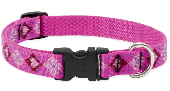 Adjustable Collar 16-28" X 1" Puppy Love