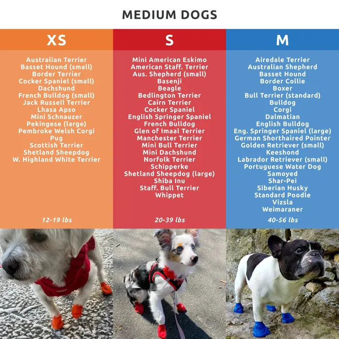 PawZ Waterproof Dog Boots Small Red dog size chart