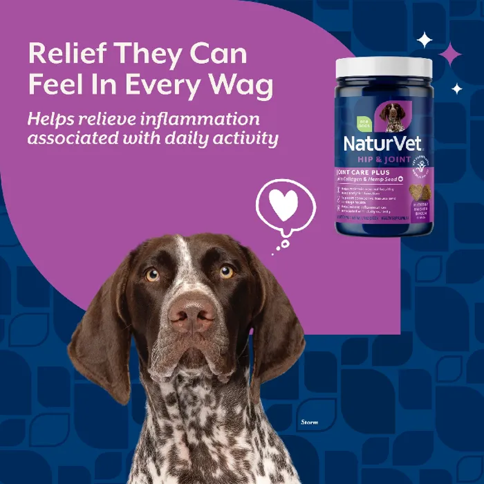 Naturvet Dog Hemp Advanced Joint Soft Chew 120-ct