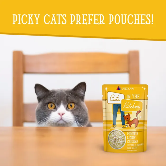 Cats in the Kitchen Pumpkin Lickin' Chicken pouch with cat