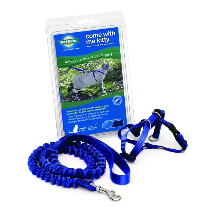 Harness & Bungee Leash Medium Royal Blue Medium