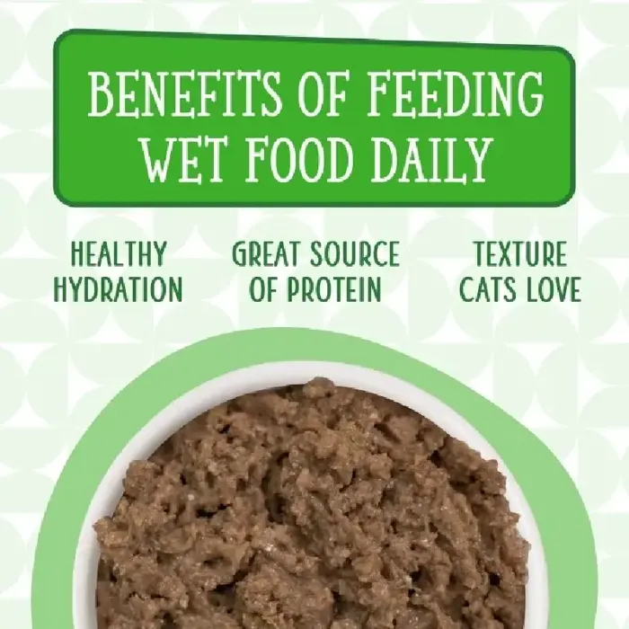 Weruva Cat Cik Gf Lamburgini Pate Can 3.2-oz