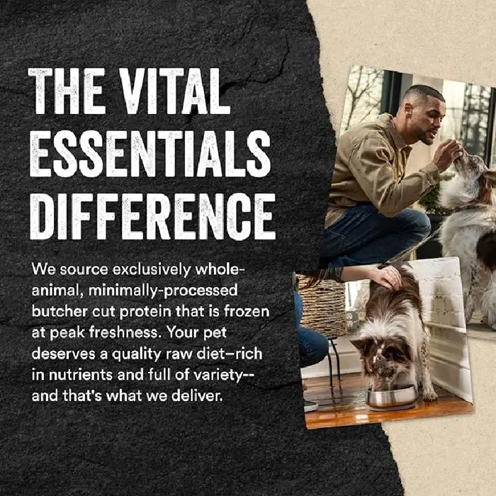 Vital Essentials Dog Salmon Bites 2.5-oz