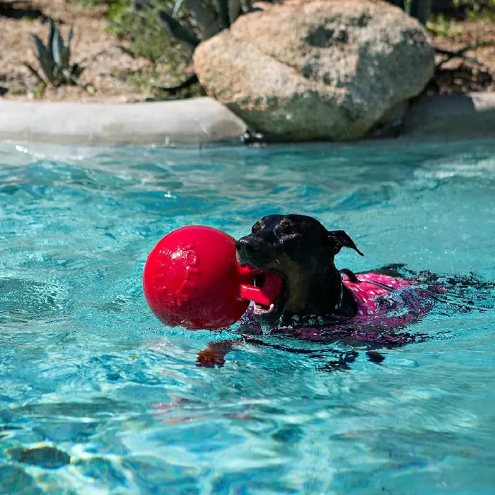 Tug N Toss Jolly Balls Assorted Colors 8"