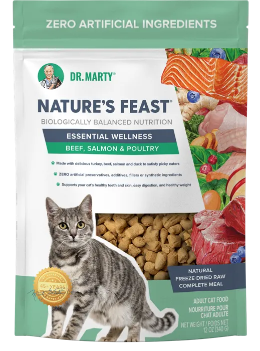 Dr. Marty Natures Feast Beef Salmon Cat 12-oz