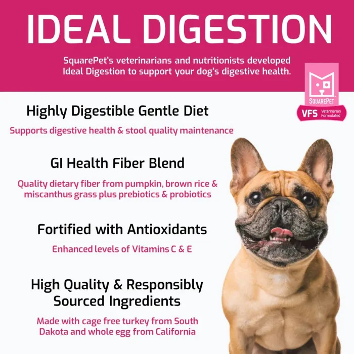 Squarepet Vfs Canine Ideal Digestion 4.4-lb