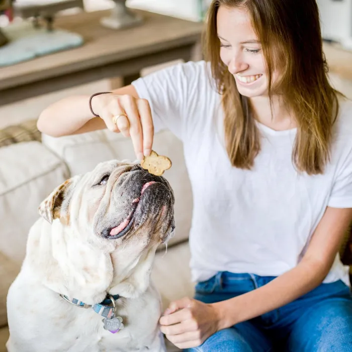 Cloud Star Pumpkin dog biscuits lifestyle