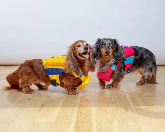 Bay Dog Monterey Bay Life Jacket yellow side lifestyle