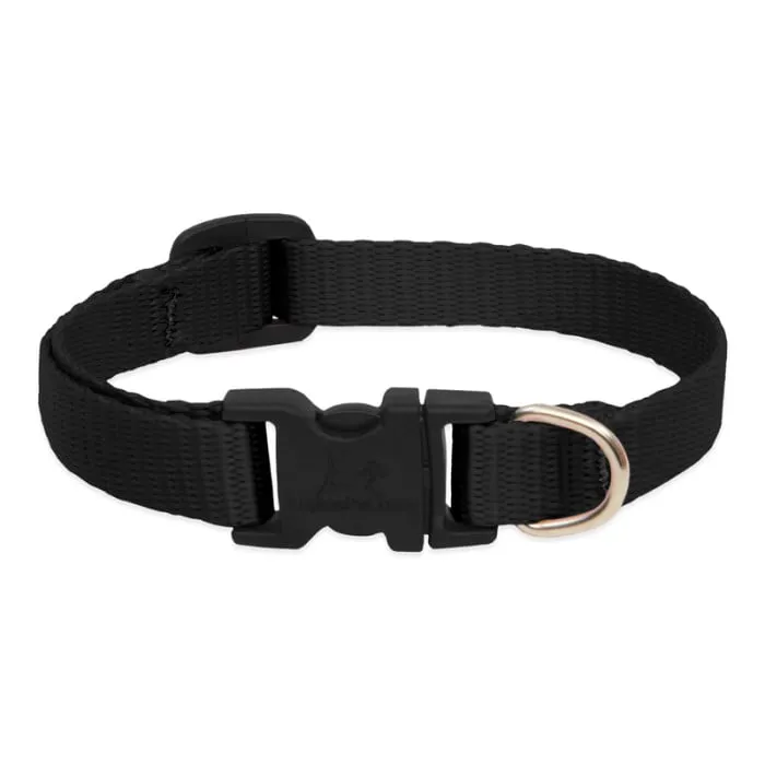 Lupine Basic Solids black 3/4-inch dog collar front view