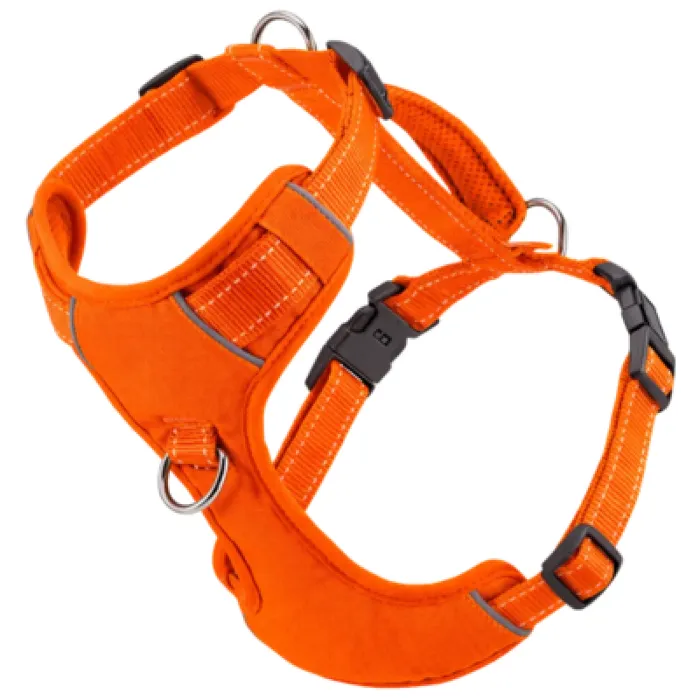 1ea Bd Large Orange Ches Harn
