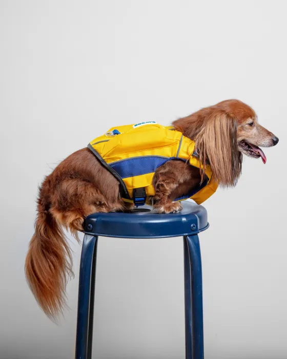 Bay Dog Monterey Bay Life Jacket yellow small dog