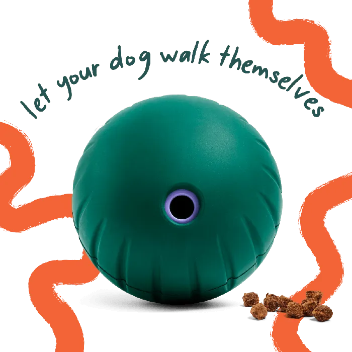 Woof Walkabout Large green dog toy hero view