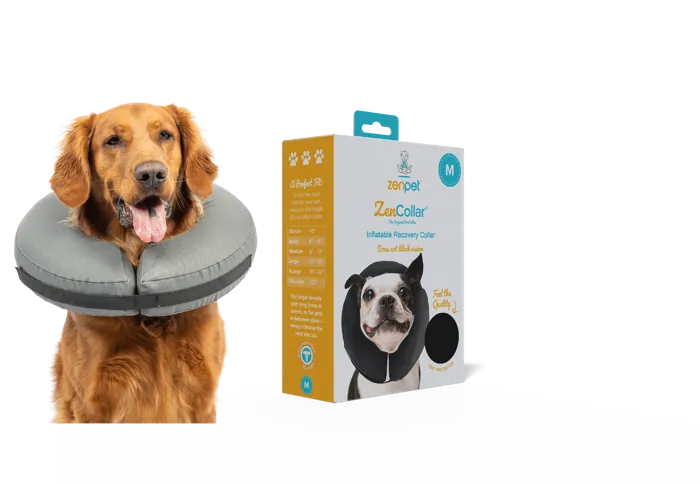 ZenPet Pro Collar Medium gray collar and package