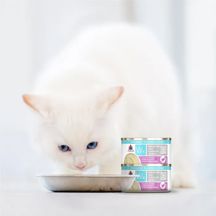 Weruva Wx tilapia and tuna puree lifestyle