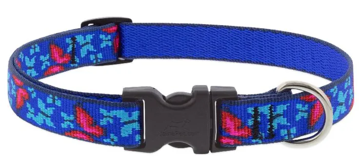 Social Butterfly 3/4 Inch 9-14 Adj Collar