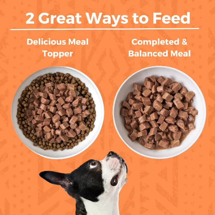 Koha Dog Grain Free Chicken Stew 12.7-oz