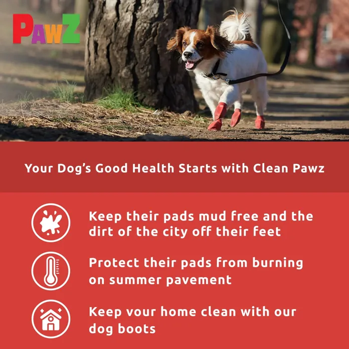 PawZ Waterproof Dog Boots Small Red dog outdoors