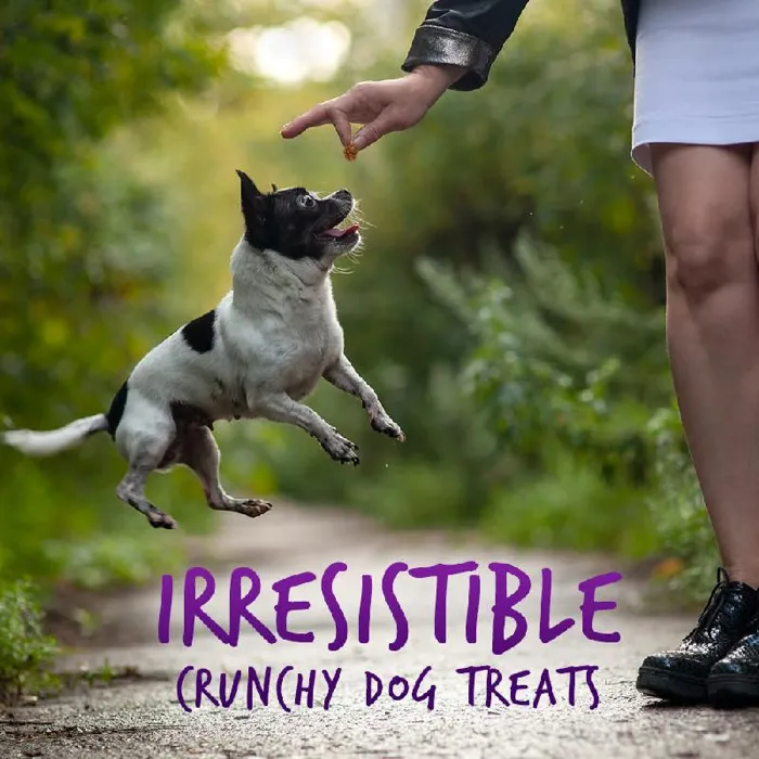 Fruitables Pumpkin & Blueberry Flavor Crunchy Dog Treats 7-oz