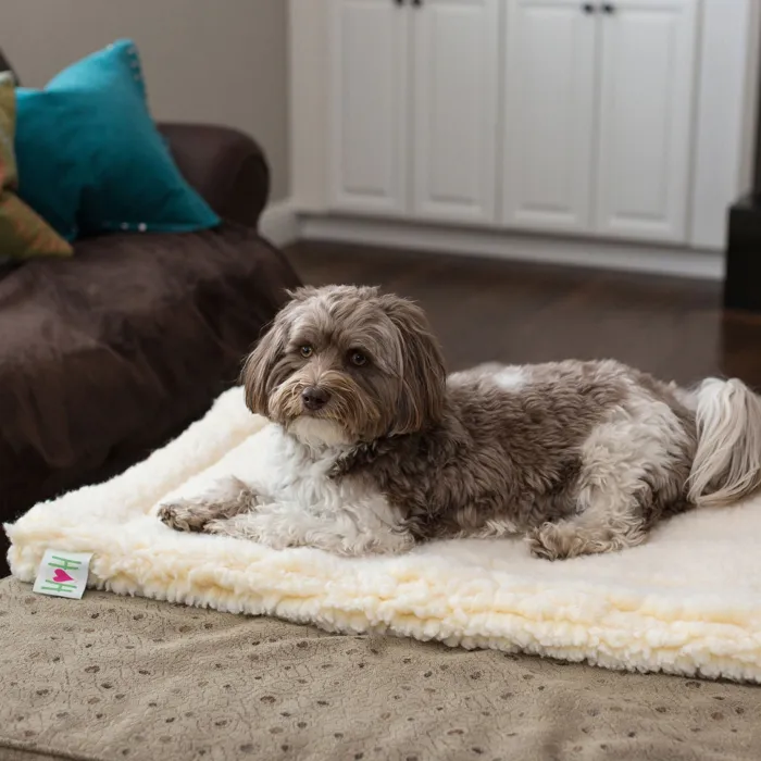 HuggleHounds HuggleFleece Natural Medium Mat lifestyle view