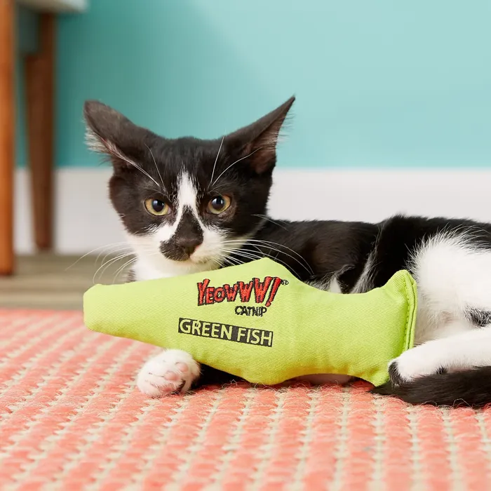 Yeowww! Green Fish catnip toy 7-inch lifestyle