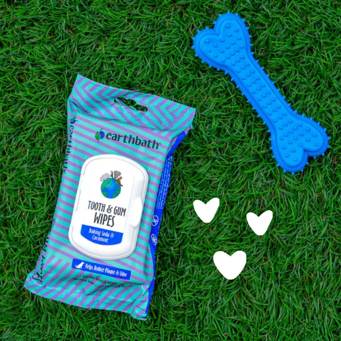 earthbath Tooth & Gum Wipes 50 ct lifestyle