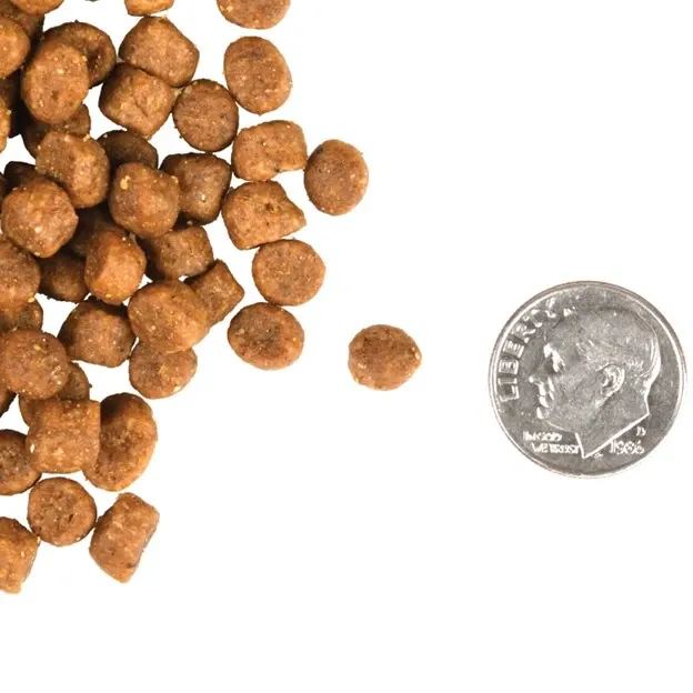 Fromm Gold Adult Dry Cat Food kibble with dime