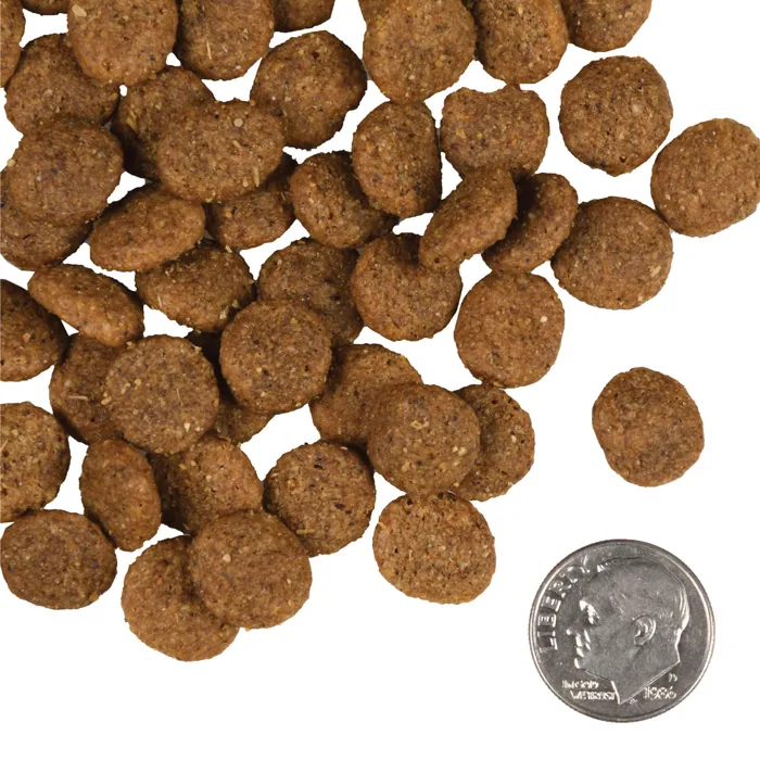Fromm Reduced Activity & Senior Gold kibble with dime