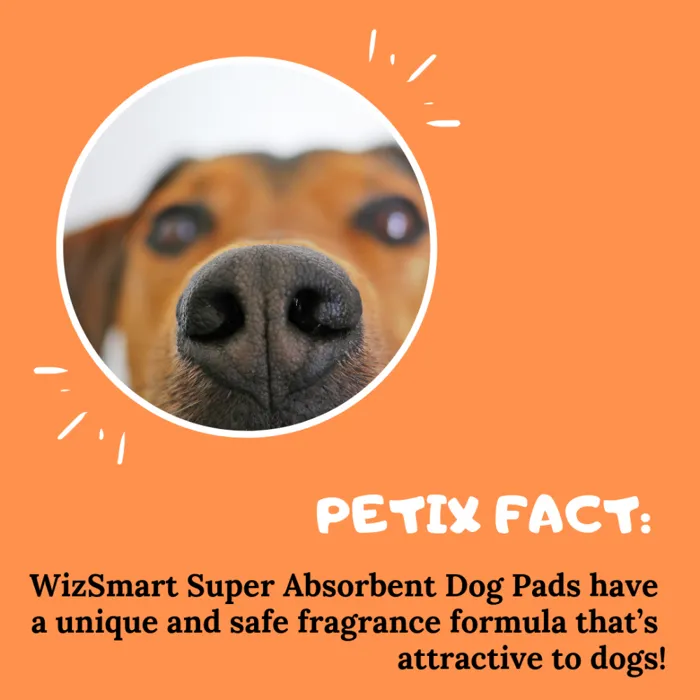 WizSmart Super Absorbent Dog Pads attractant graphic