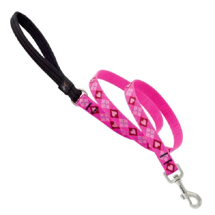 Lead 6' X 3/4" Puppy Love Pattern