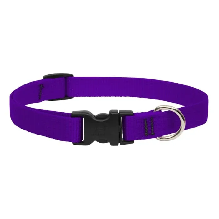 Adjustable Collar 3/4" Purple 11"-17"