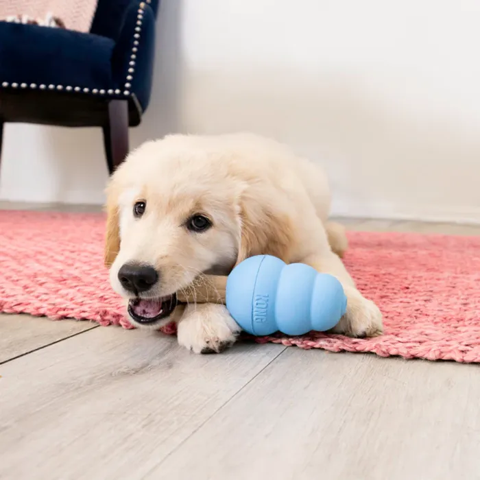 KONG Puppy Small blue toy lifestyle