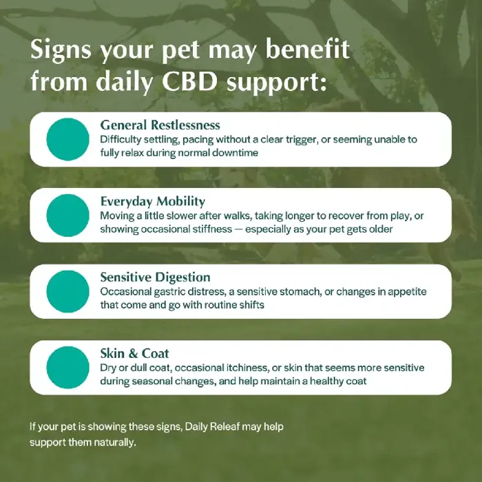 Pet Releaf Dog Daily Releaf 200 Hemp Oil Organic 1-oz