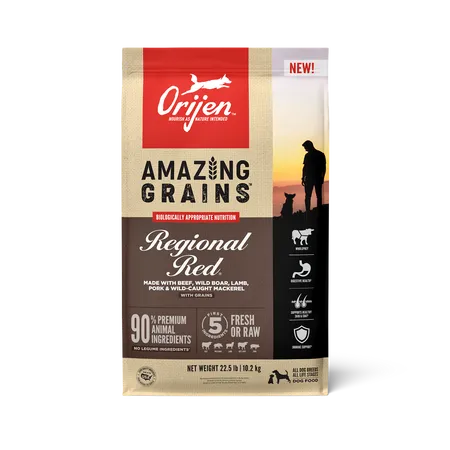 Orijen Dog Amazing Grains Regional Red 22.5-lb