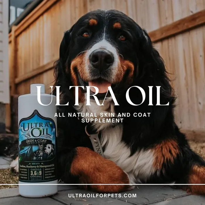 Ultra Oil Skin & Coat Supplement 16 oz dog lifestyle