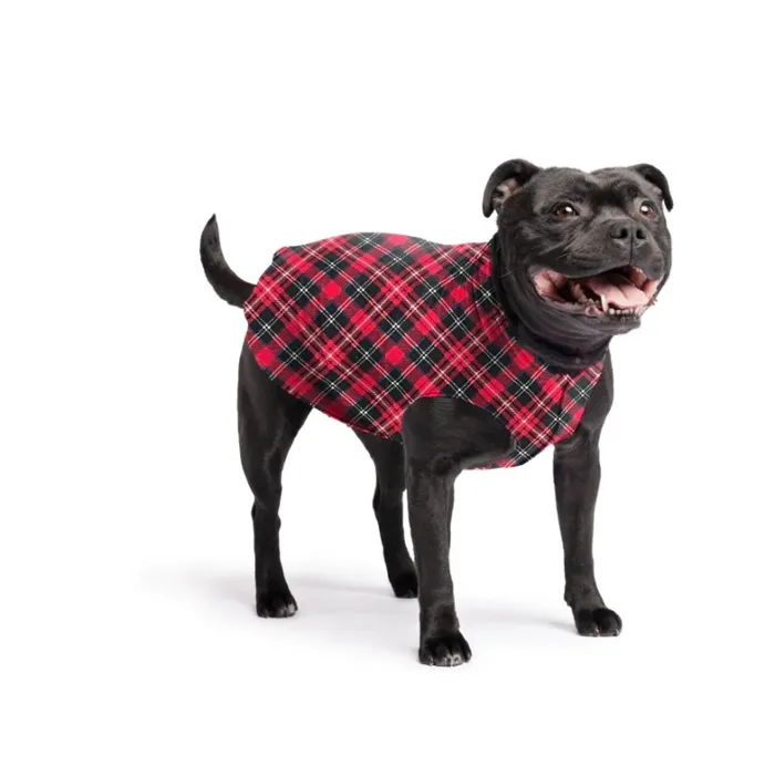 Gold Paw Fleece Red Plaid 16
