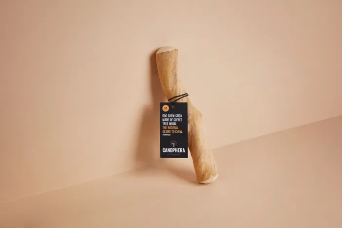 Canophera Coffee Wood Chew Stick Medium lifestyle view