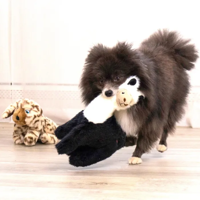 KONG Toughz Llama dog toy, black and white, medium, dog playing