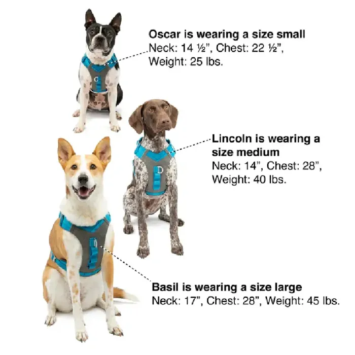 Journey Air Harness Coral Sm