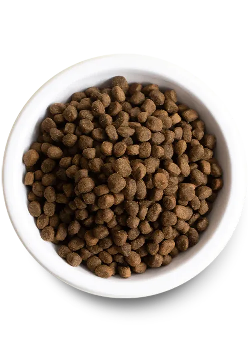 Open Farm Dog Ancient Grain Beef 4-lb