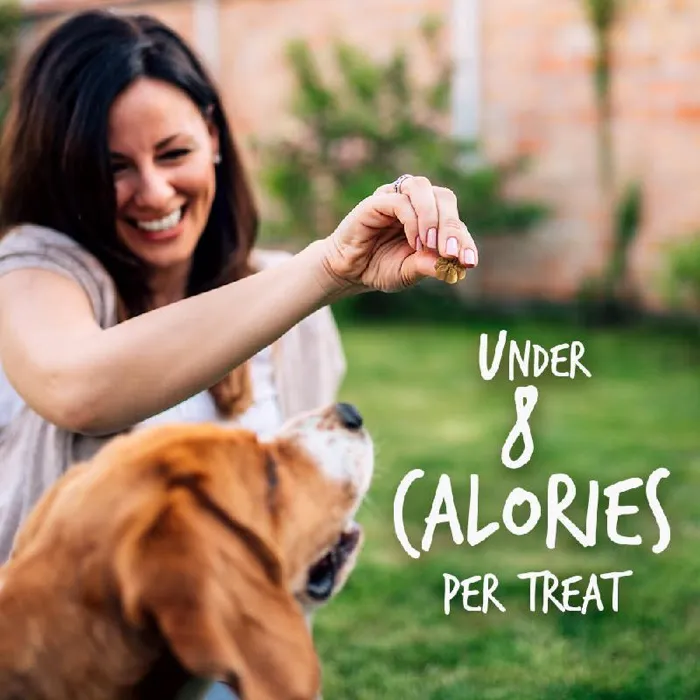 Fruitables Pumpkin & Blueberry Flavor Crunchy Dog Treats 7-oz
