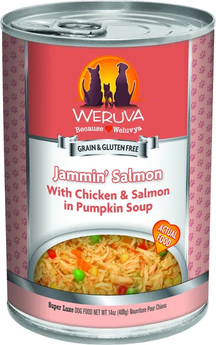 Weruva Jammin' Salmon 14-oz