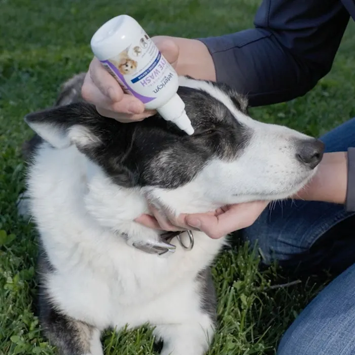Vetericyn Plus Antimicrobial Eye Wash 3 oz dog use