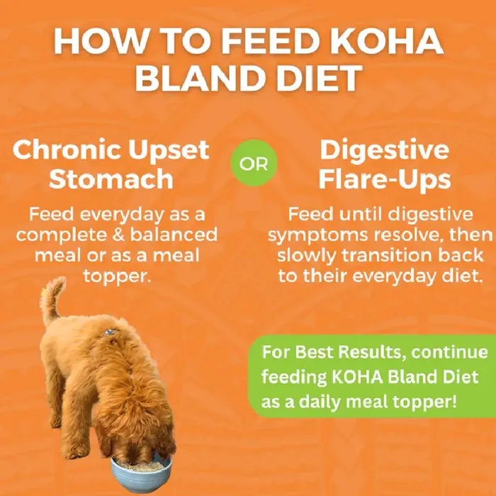 Bland Diet Chicken And Rice - 12.5oz