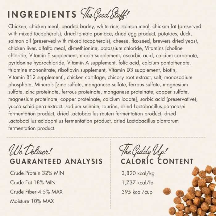 Fromm Gold Adult Dry Cat Food ingredients close-up