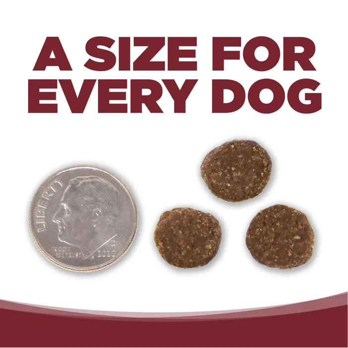 Nutrisource Beef And Rice Recipe Dry Dog Food 26-lbs