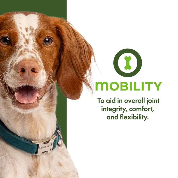 Fromm Nutritionals Mobility joint support graphic