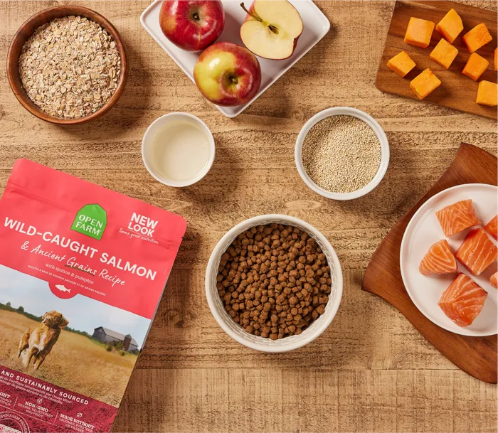Open Farm Wild-Caught Salmon Ancient Grains lifestyle flat lay