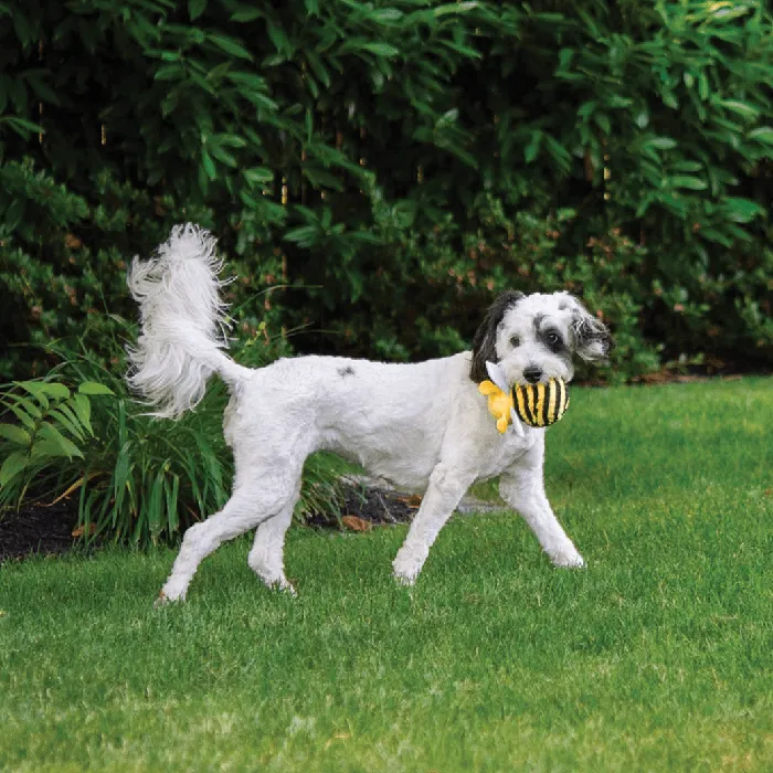 Fab Dog Faball Bumble Bee yellow dog play view